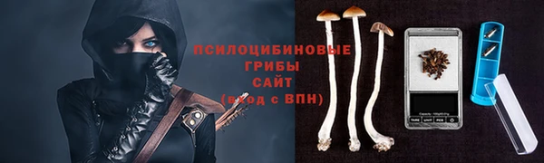 кокс Карпинск
