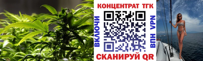 Купить закладки  Никольское  ТГК Wax 