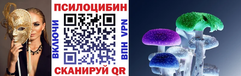 Псилоцибиновые грибы GOLDEN TEACHER  Купить закладки  Никольское 